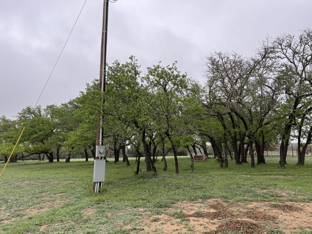 John Walters Certified Arborist